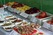 Samples of Afghan fresh and dried fruits.jpg