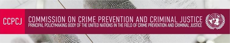 The Commission on Crime Prevention and Criminal Justice