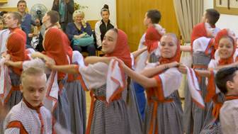 UPF Austria