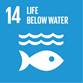 Life below water