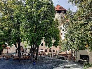 Ein Bild, das Baum, drauen, Haus, Pflanze enthlt.

Automatisch generierte Beschreibung